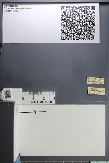 Media type: image;   Entomology 552496